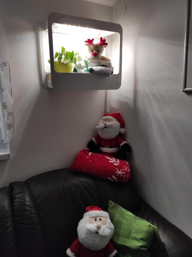 Apartman Izabela 梅杜林 外观 照片
